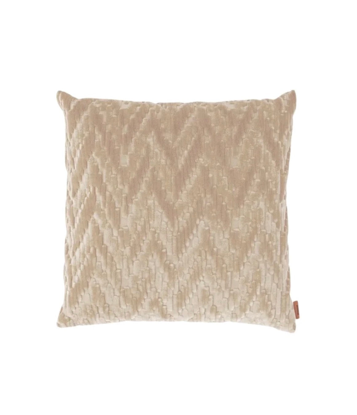 Fossile Cushion 40×40