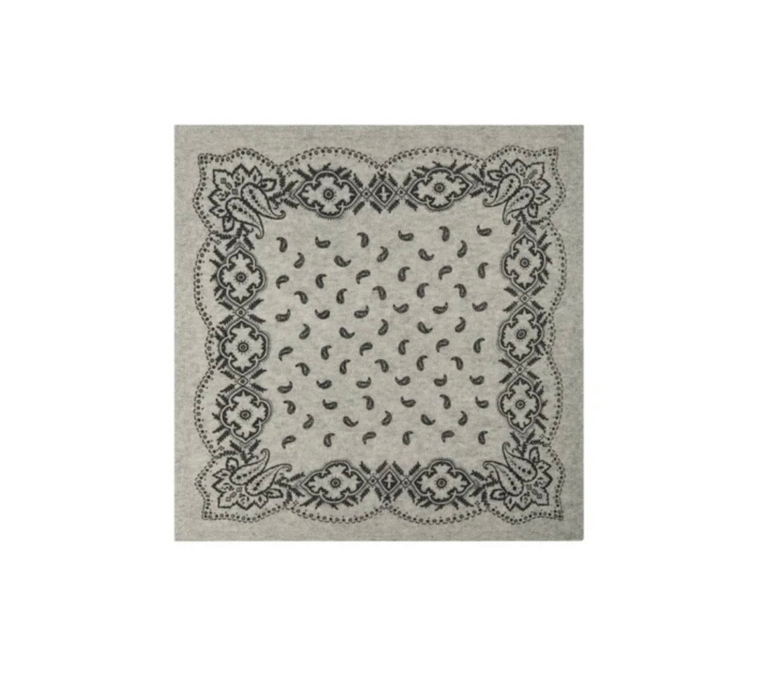 Adelina Paisley Knit Scarf