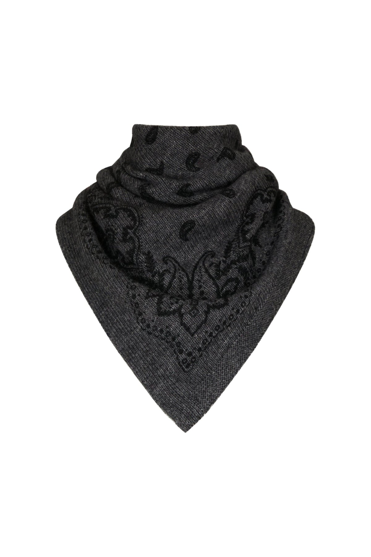 Adelina Paisley Knit Scarf
