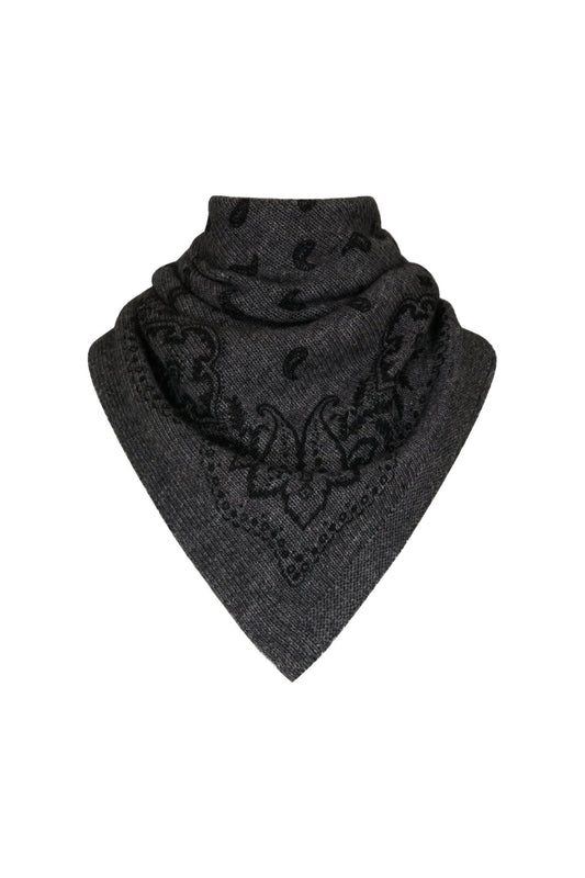 Adelina Paisley Knit Scarf