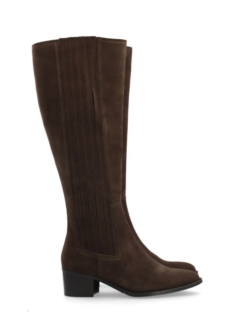 BIACAROL Chelsea Knee High Boot Oily Suede