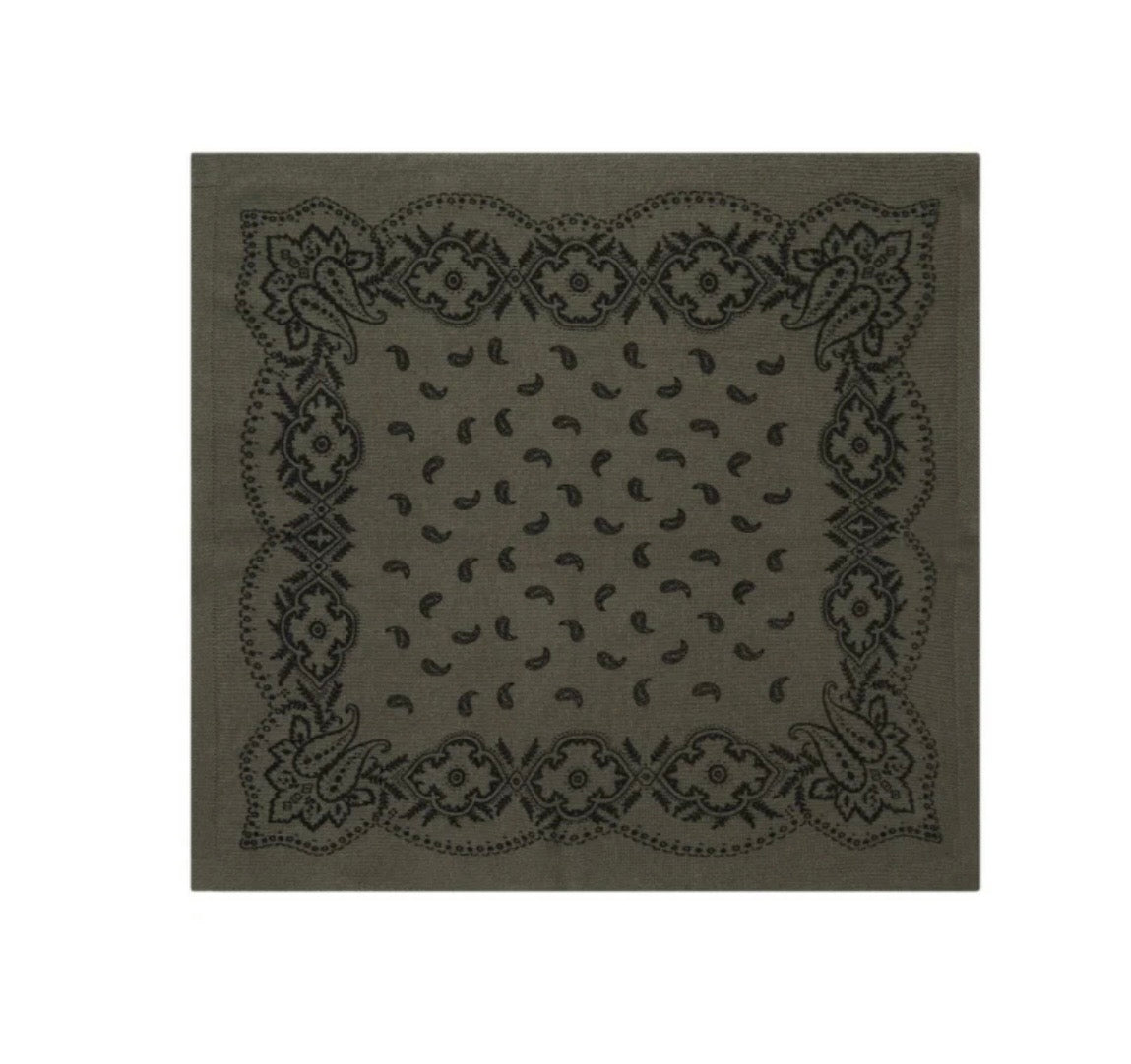 Adelina Paisley Knit Scarf