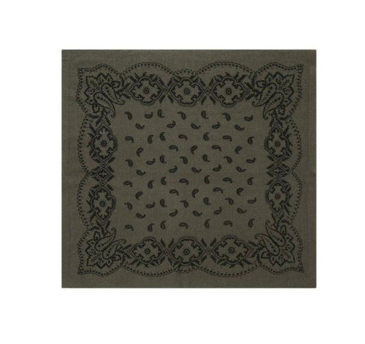 Adelina Paisley Knit Scarf