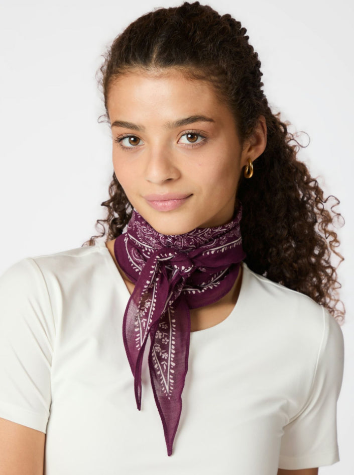 KINESSA PAISLEY SCARF