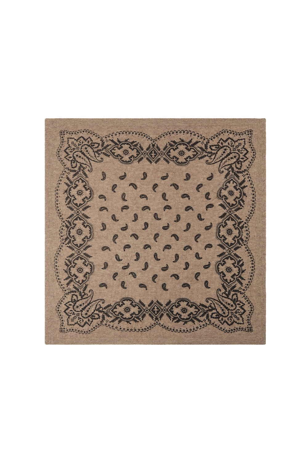 Adelina Paisley Knit Scarf