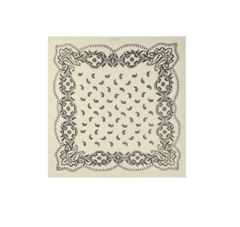 Adelina Paisley Knit Scarf